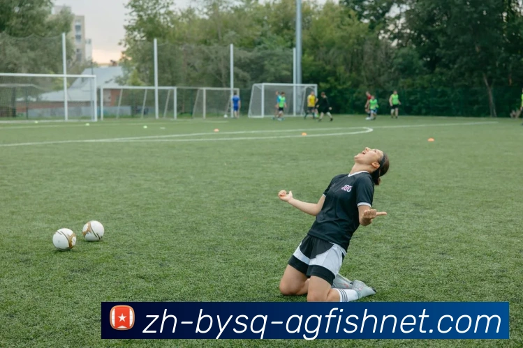 AG捕鱼王官网平台生态图