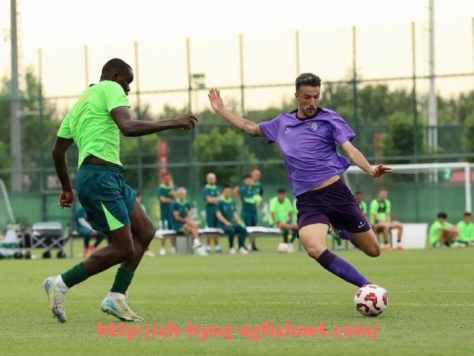 AG捕鱼王官网-法甲联赛当前进球榜:射手王之争愈演愈烈